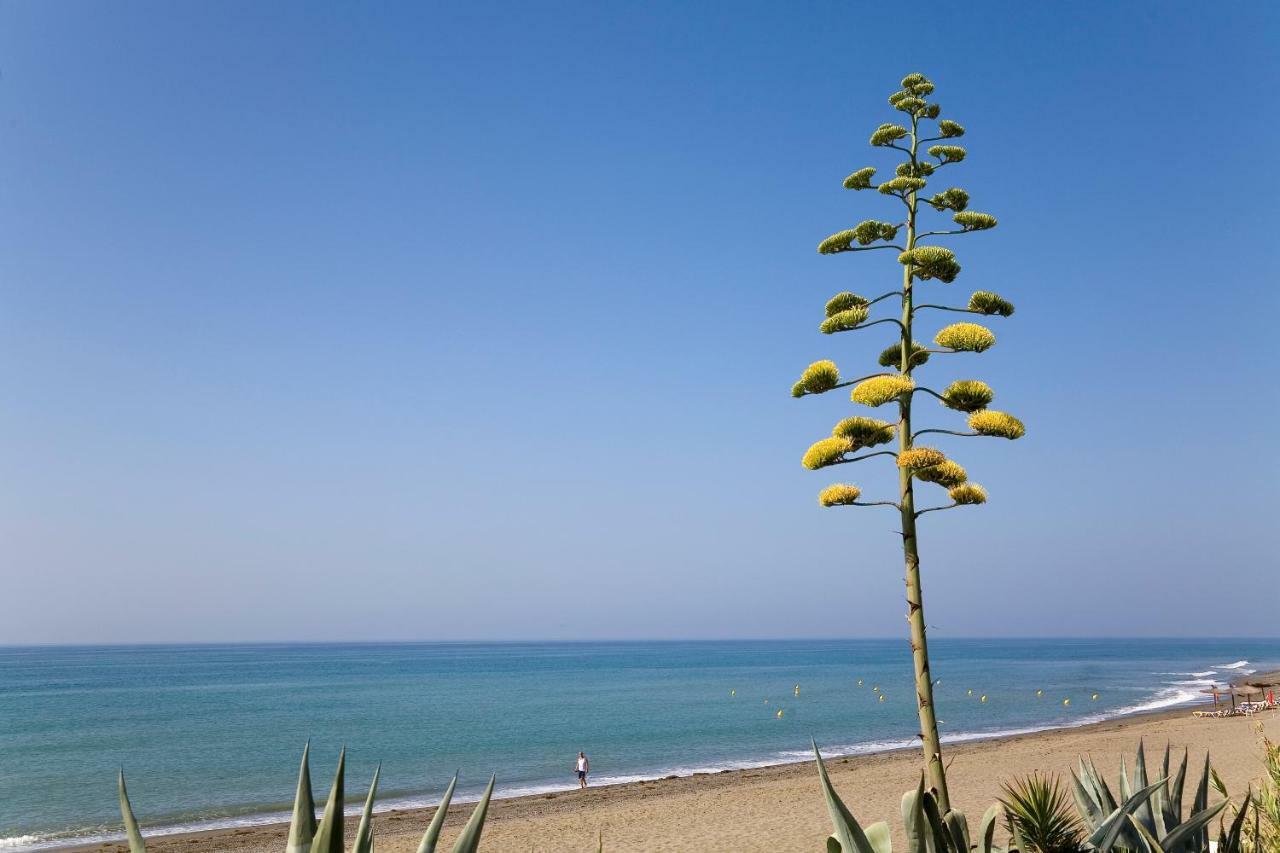 Heaven Beach Apartment 405 Estepona Kültér fotó
